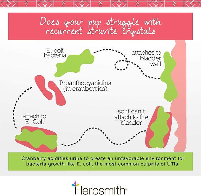 Herbsmith Bladder Care for Cats and Dogs – Maintains Urinary Health for Dogs and Cats – Dog and Cat Kidney Support – 500g Powder Herbsmith