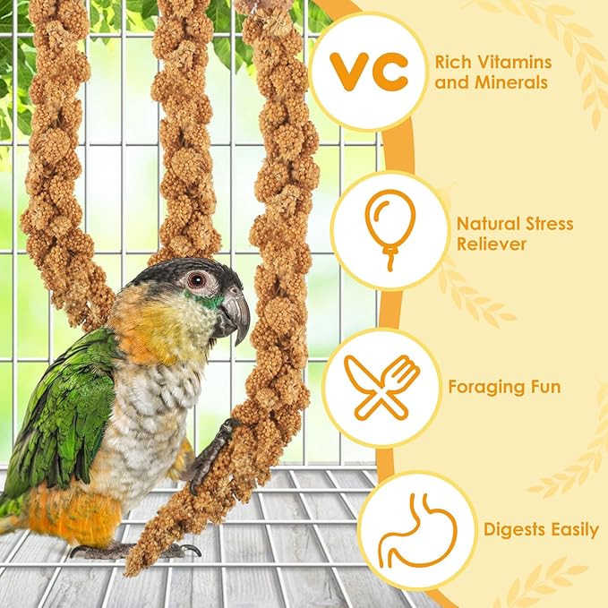 KATUMO Spray Millet for Birds, 2.0LB / 910g Natural Sun-Dried Millet Spray Bird Treats Parakeet Food for Cockatiels Conures Parrots Hamsters Finches KATUMO