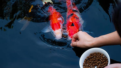 | Premium Floating Fish Food | Pond and Lake | Pellets | 2 Pounds FAMILY+FARM+AND+FEED