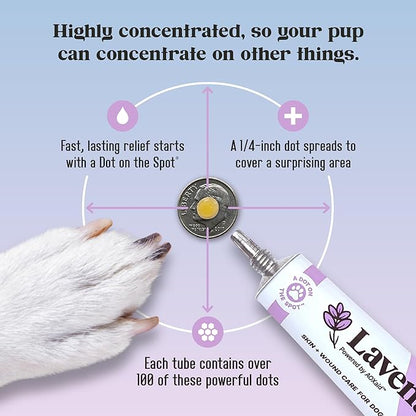 for Dogs - Reduces Skin Irritations and Itching - Effective Wound Care and Hot Spot Treatment Lavengel