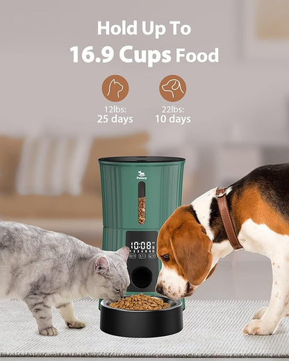 Petory Timed Automatic Cat Feeders - 4L Programable Dry Food Dispenser for Cats and Small Medium Dogs 6 Meals with Desiccant Bag Dual Power Supply 10S Voice Recorder - PAWPICO