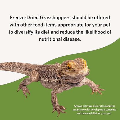 Fluker's Freeze Dried Grasshoppers, Nutrient-Packed, Ideal for Lizards, Reptiles, Birds, Fish, Hedgehogs, 1.7 oz Flukers