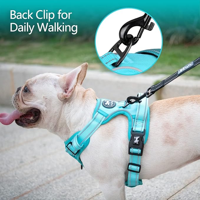 PoyPet No Pull Dog Harness, No Choke Reflective Dog Vest, Adjustable Pet Harnesses with Easy Control Padded Handle for Small Medium Large Dogs(Mint Blue Matching Trim,S) PoyPet