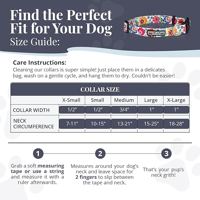 Lucky Love Dog - Adjustable Dog Collar with Easy Click Buckle for Small to Large Dogs, Durable, & Comfortable Collar for Male & Female Dogs, Pet Collar for Puppies & Adult Dogs - Ladybird, Medium LuckyLoveDog