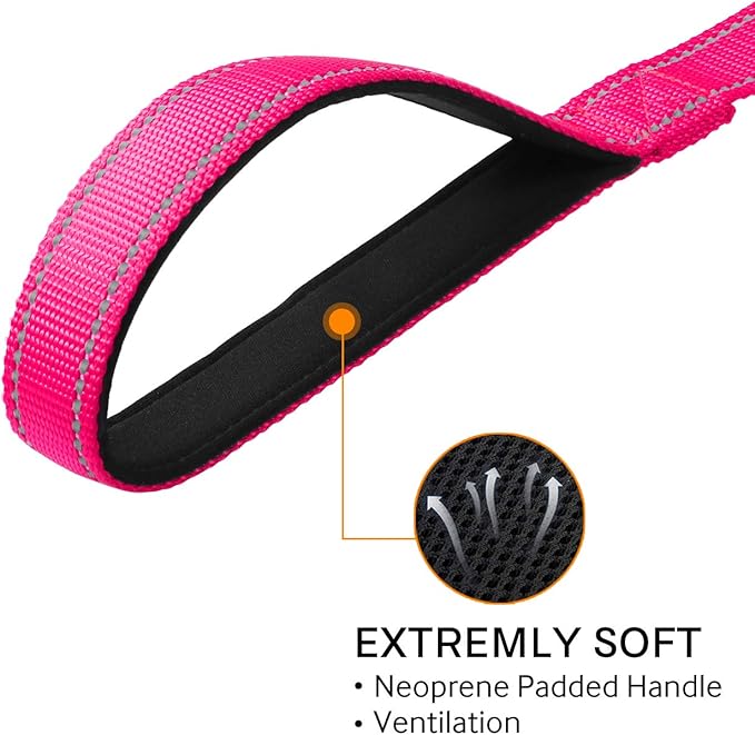 Joytale Double-Sided Reflective Dog Leash, 6 FT/5 FT/4 FT, Padded Handle Nylon Heavy Duty Leashes for Medium & Large Dogs Walking, Hotpink, 6FT Joytale