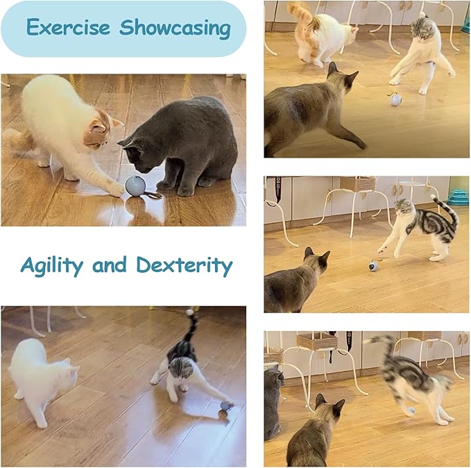 Migipaws Interactive Cat Ball Toy Set, Fun Tracker, Automatic Rolling Chase Ball with Fluffy Tail, A Small Mice, Rechargeable（White） - PAWPICO
