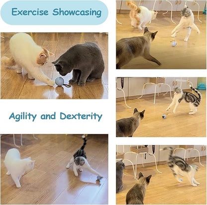 Migipaws Interactive Cat Ball Toy Set, Fun Tracker, Automatic Rolling Chase Ball with Fluffy Tail, A Small Mice, Rechargeable（White） - PAWPICO