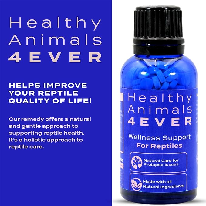 HealthyAnimals4Ever Reptile Wellness Support - Natural Care for Prolapse Management, Organ Retention & Enhanced Tissue Health - Gentle, Holistic Recovery Formula for Reptile Well-Being - 300 Count HealthyAnimals4ever