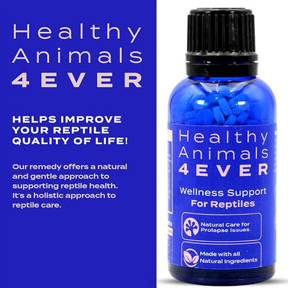 HealthyAnimals4Ever Reptile Wellness Support - Natural Care for Prolapse Management, Organ Retention & Enhanced Tissue Health - Gentle, Holistic Recovery Formula for Reptile Well-Being - 300 Count HealthyAnimals4ever