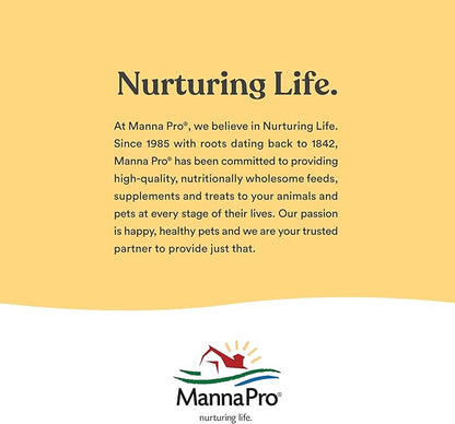 Manna Pro Crushed Oyster Shell for Laying Hens - Laying Chicken Oyster Shell - 6-Pack of 5lbs MannaPro