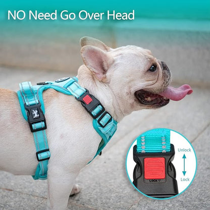 PoyPet No Pull Dog Harness, No Choke Reflective Dog Vest, Adjustable Pet Harnesses with Easy Control Padded Handle for Small Medium Large Dogs(Mint Blue Matching Trim,XL) PoyPet