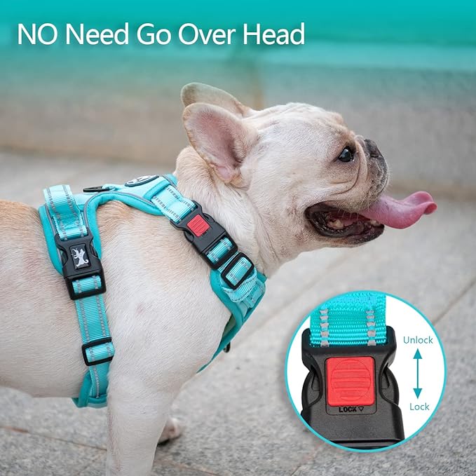 PoyPet No Pull Dog Harness, No Choke Reflective Dog Vest, Adjustable Pet Harnesses with Easy Control Padded Handle for Small Medium Large Dogs(Mint Blue Matching Trim,S) PoyPet