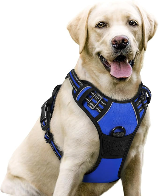 rabbitgoo Dog Harness No Pull with 2 Leash Clips, Adjustable Soft Padded, Reflective Oxford No Choke Pet Vest with Easy Control Handle for Large Dogs, Dazzling Blue, L rabbitgoo