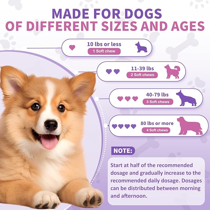 Probiotics For Dogs Chews 400 Probiotic and Digestive Enzymes Gut Health Itching Dog Digestive Health Yeast Prebiotic Supplement Immune Support Reduce Diarrhea Soft Chewable Tablets (Chicken Flavor) TTLXBLprotectsdoghealth