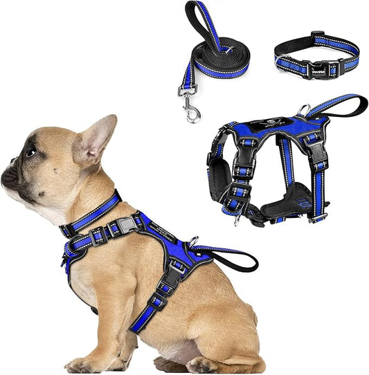 WINSEE Pet Harness Collar and Leash Set, All-in-one Reflective Dog Harness No Pull with Adjustable Buckles for Puppies, Small, Medium, Large, and Extra-Large Dogs (Small, Dark Blue) WINSEE