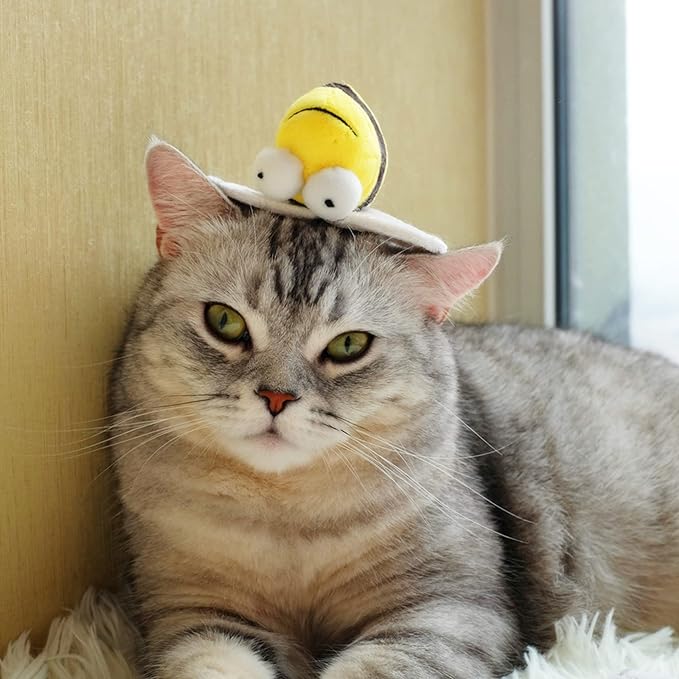 Gigwi Interactive Squeaking Cat Toy，Chirpy Bee Sound Toy for Cats，Melody Chaser Play Squeak Kitten Toy for Boredom - PAWPICO