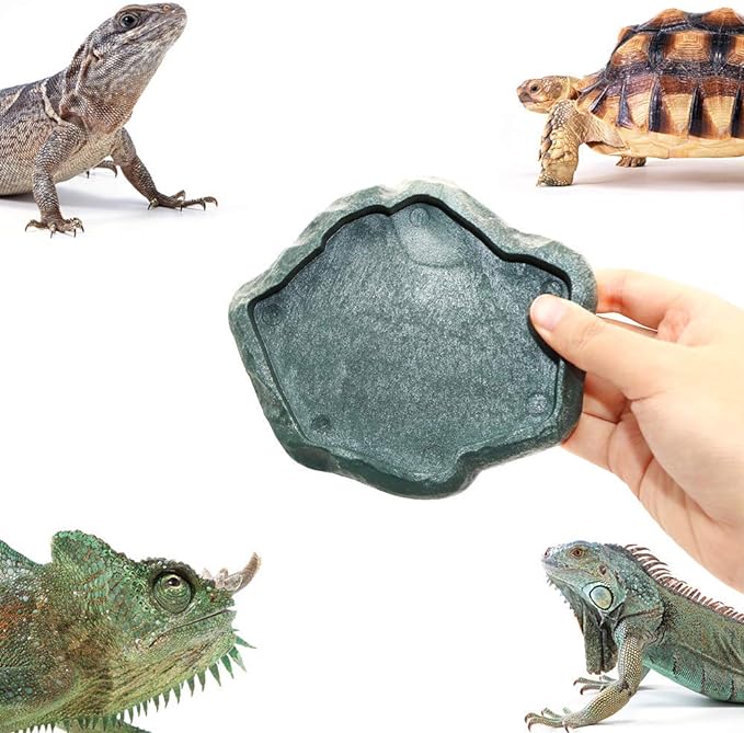 SLSON Reptile Feeder Terraium Bowl Plastic Shallow Reptile Feeder for Food and Water Feeding Dish for Lizard Gecko Bearded Dragon SLSON