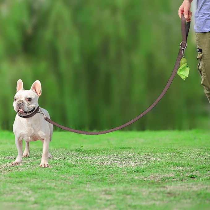 Joytale Double-Sided Reflective Dog Leash, 6 FT/5 FT/4 FT, Padded Handle Nylon Heavy Duty Leashes for Small & Medium Dogs Walking, Brown, 4FT Joytale
