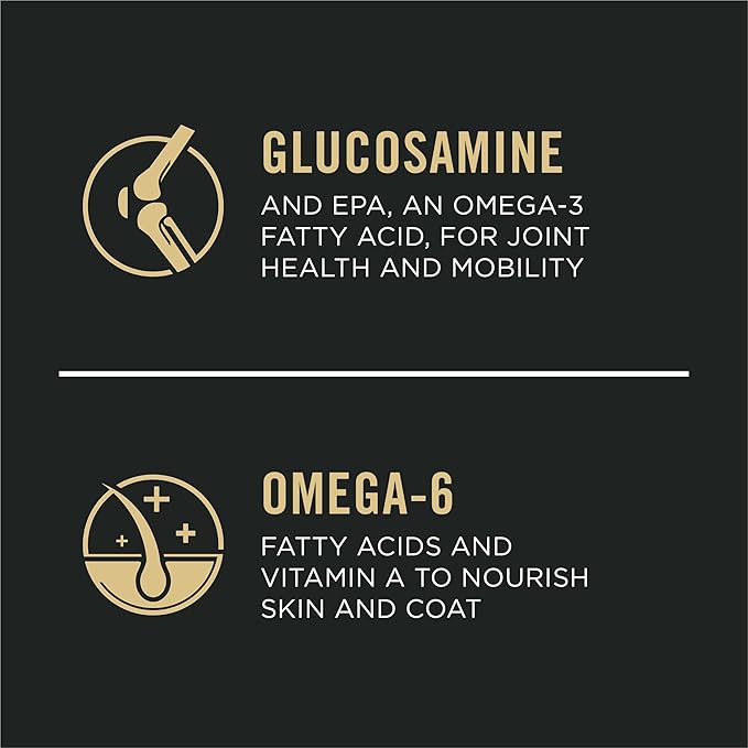 Purina Pro Plan Small Breed Senior Dog Food Bright Mind Seven Plus Chicken and Rice Formula - 5 lb. Bag - PAWPICO