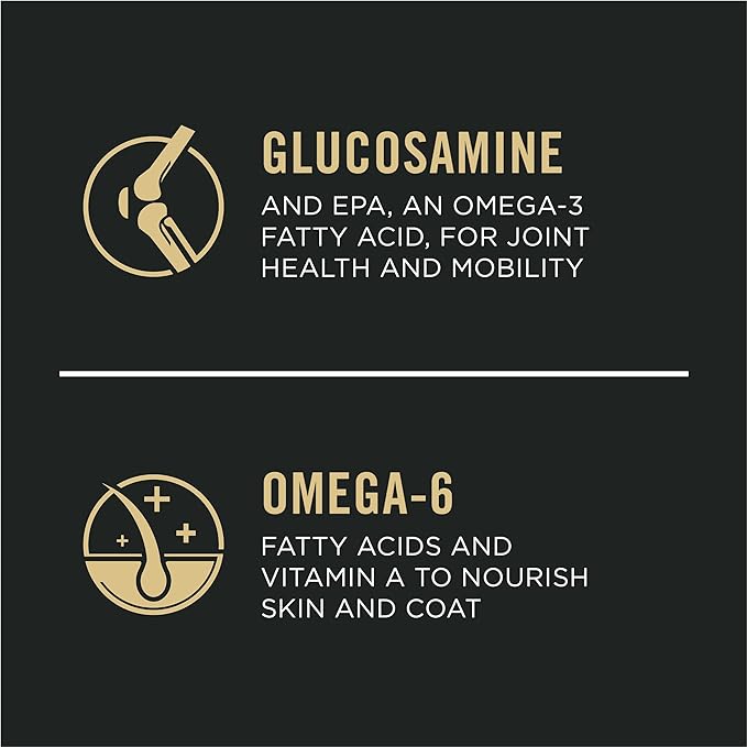 Purina Pro Plan Small Breed Senior Dog Food Bright Mind Seven Plus Chicken and Rice Formula - 16 lb. Bag - PAWPICO