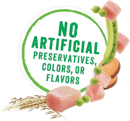 Beneful Purina Gravy Wet Dog Food, Prepared Meals Roasted Turkey Medley - (8) 10 oz. Tubs (Pack of 2) - PAWPICO