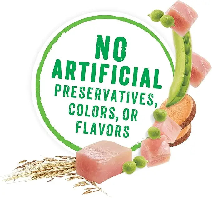 Purina Beneful Gravy Wet Dog Food, Prepared Meals Roasted Turkey Medley - (8) 10 oz. Tubs - PAWPICO