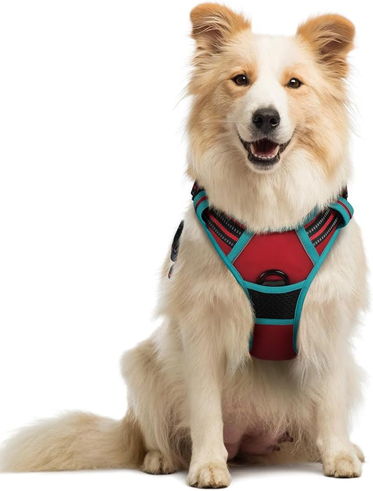 rabbitgoo Dog Harness No Pull with 2 Leash Clips, Adjustable Soft Padded, Reflective Oxford No Choke Pet Vest with Easy Control Handle for Medium Sized Dogs, Red & Teal, M rabbitgoo
