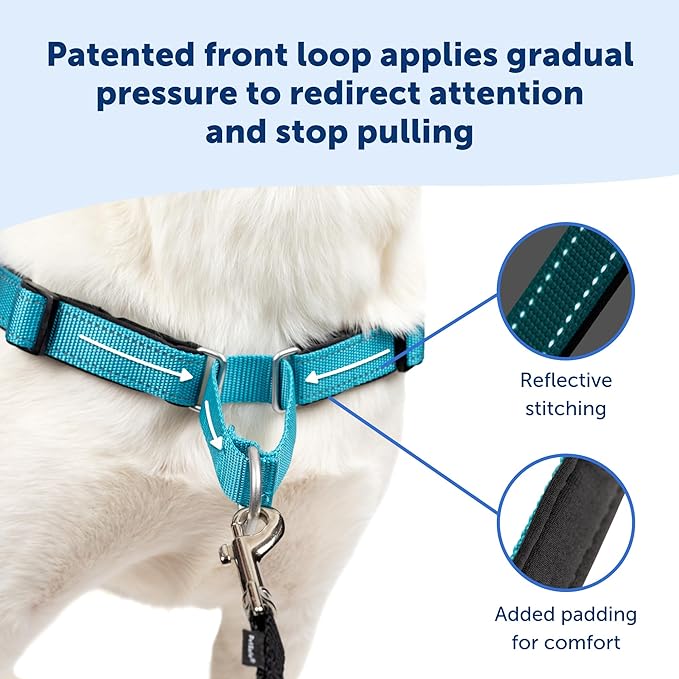 PetSafe Easy Walk Deluxe Dog Harness, No Pull Dog Harness – Perfect for Leash & Harness Training – Stops Pets from Pulling and Choking on Walks – Medium, Ocean PetSafe