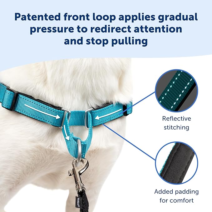 PetSafe Easy Walk Deluxe Dog Harness, No Pull Dog Harness – Perfect for Leash & Harness Training – Stops Pets from Pulling and Choking on Walks – Medium/Large, Rose PetSafe