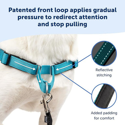 PetSafe Easy Walk Deluxe Dog Harness, No Pull Dog Harness – Perfect for Leash & Harness Training – Stops Pets from Pulling and Choking on Walks – Medium/Large, Apple PetSafe