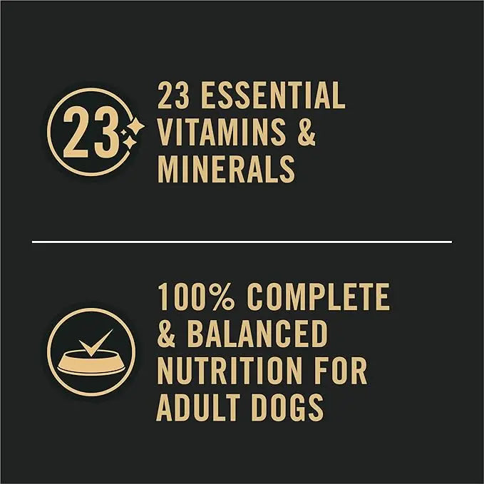 Purina Pro Plan Sensitive Skin and Stomach Wet Dog Food Pate Lamb and Oat Meal Entree - (Pack of 12) 13 oz. Cans - PAWPICO