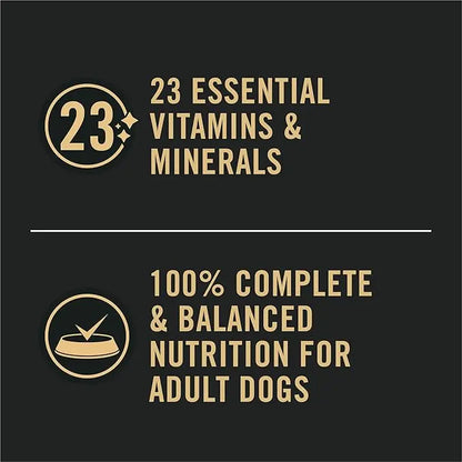 Purina Pro Plan Sensitive Skin and Stomach Wet Dog Food Pate Lamb and Oat Meal Entree - (Pack of 12) 13 oz. Cans - PAWPICO