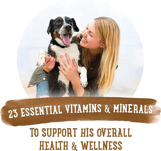 Beneful Purina Gravy Wet Dog Food Variety Pack, Prepared Meals Stew - (12) 10 oz. Tubs (Pack of 2) - PAWPICO