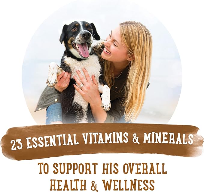 Purina Beneful Gravy Wet Dog Food Variety Pack, Prepared Meals Stew - (12) 10 oz. Tubs - PAWPICO