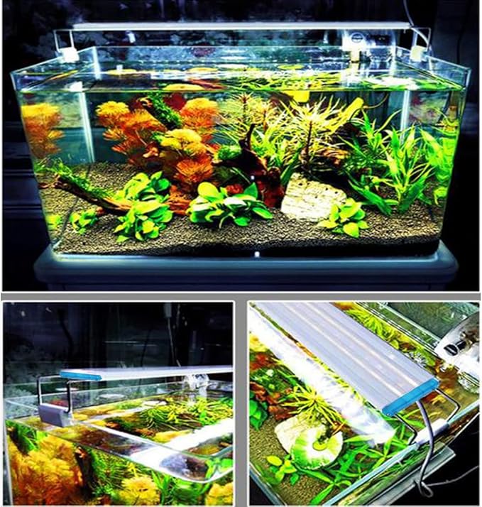 Bright Classic LED Aquarium Light, Reef Plant Fish Tank Light with Extendable Brackets, Aquatic Plant Growth Lamp White and Blue LEDs JackSuperAquariumPetsFocus