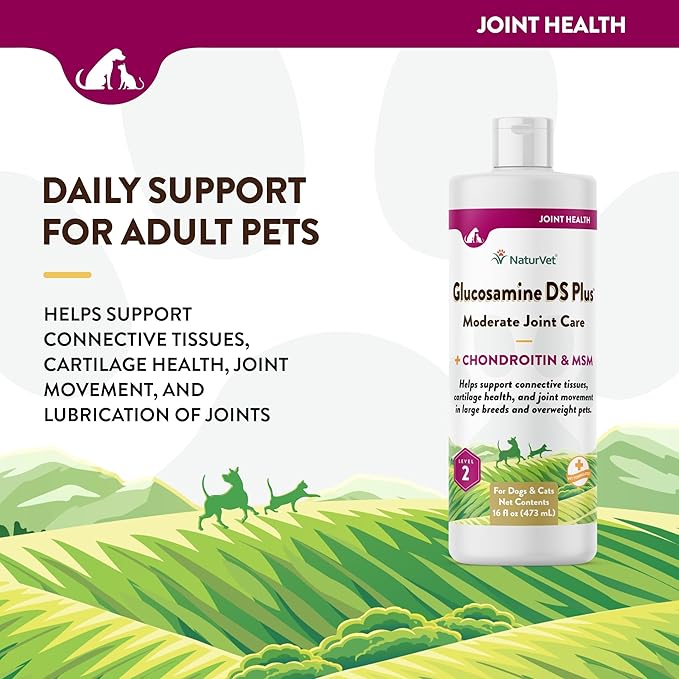 NaturVet Glucosamine DS Plus Hip & Joint Support Liquid Pet Supplement – Level 2 Moderate Care for Dogs & Cats – Includes Glucosamine, MSM, Chondroitin – 16 Oz NaturVet
