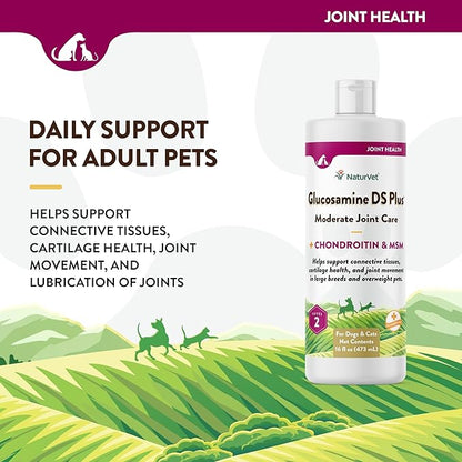 NaturVet Glucosamine DS Plus Hip & Joint Support Liquid Pet Supplement – Level 2 Moderate Care for Dogs & Cats – Includes Glucosamine, MSM, Chondroitin – 16 Oz NaturVet
