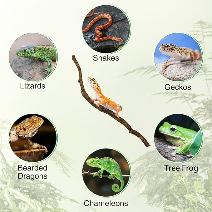 Reptile Branch Decor Snake Climbing Wood Branches Lizard Habitat Decorations Terrarium Wooden Tree Trunk Ornament for Bearded Dragon Snake Geckos Chameleon Frog 4 Pcs (14-16 inch) Apatal