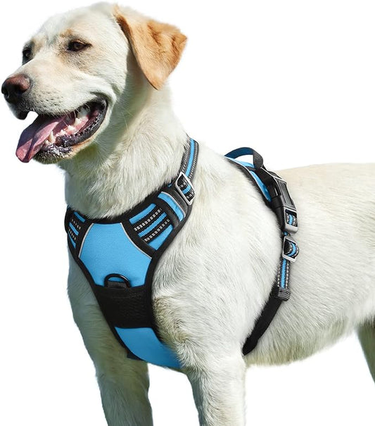 Eagloo Dog Harness for Large Dogs, No Pull Service Vest with Reflective Strips and Control Handle, Adjustable and Comfortable for Easy Walking, No Choke Pet Harness with 2 Metal Rings, Sky Blue, L GoExplorewithEagloo