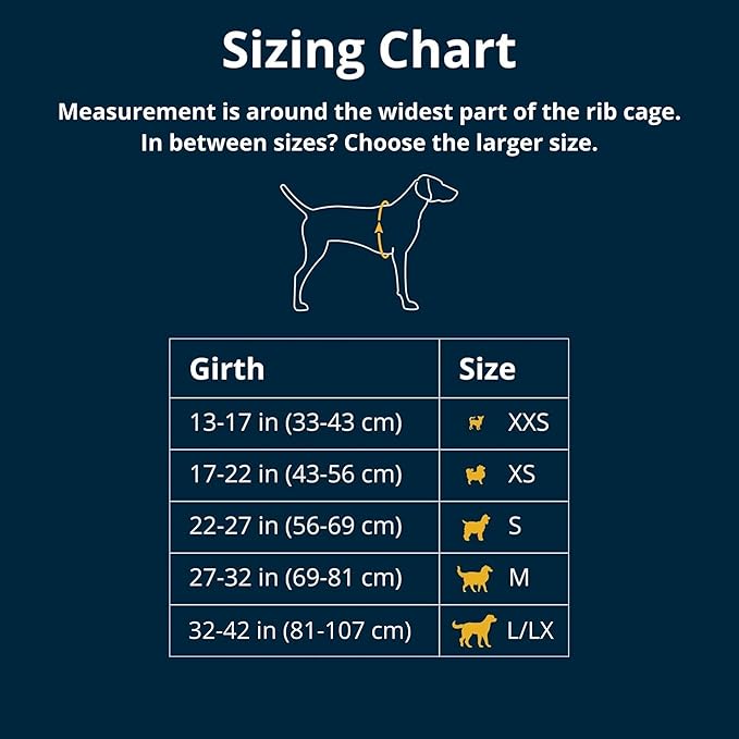 Ruffwear, Front Range Dog Harness, Reflective and Padded, No Pull Harness for Training and Everyday, Coastal Mountains, Large/X-Large RuffwearInc