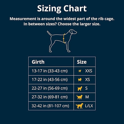 Ruffwear, Front Range Dog Harness, Reflective and Padded, No Pull Harness for Training and Everyday, Spring Mountains, Medium RuffwearInc