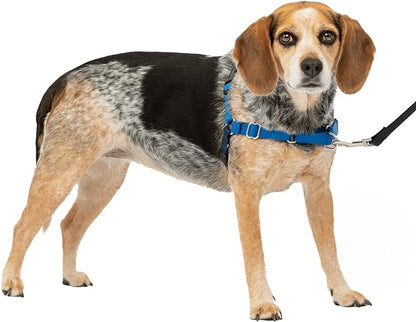 PetSafe Easy Walk No-Pull Dog Harness - The Ultimate Harness to Help Stop Pulling - Take Control & Teach Better Leash Manners - Helps Prevent Pets Pulling on Walks, Small/Medium, Royal Blue/Navy Blue PetSafe