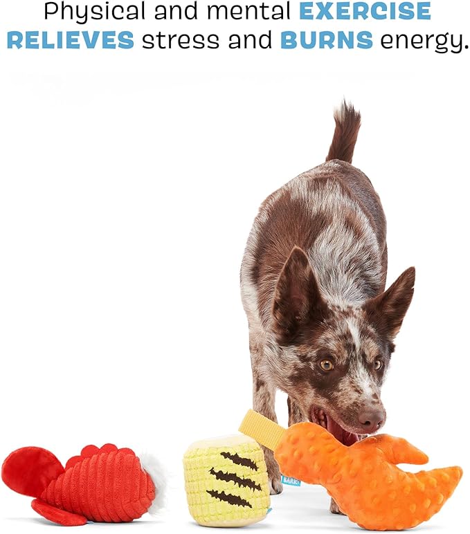 Barkbox The Maine Event Dog Toy Bundle – Squeaky Dog Toys – Plush Dog Toys – Puppy and Pet Toys for Medium to Large Dogs - PAWPICO