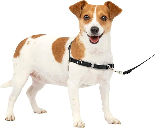 PetSafe Easy Walk No-Pull Dog Harness - The Ultimate Harness to Help Stop Pulling - Take Control & Teach Better Leash Manners - Helps Prevent Pets Pulling on Walks, Small, Black/Silver PetSafe