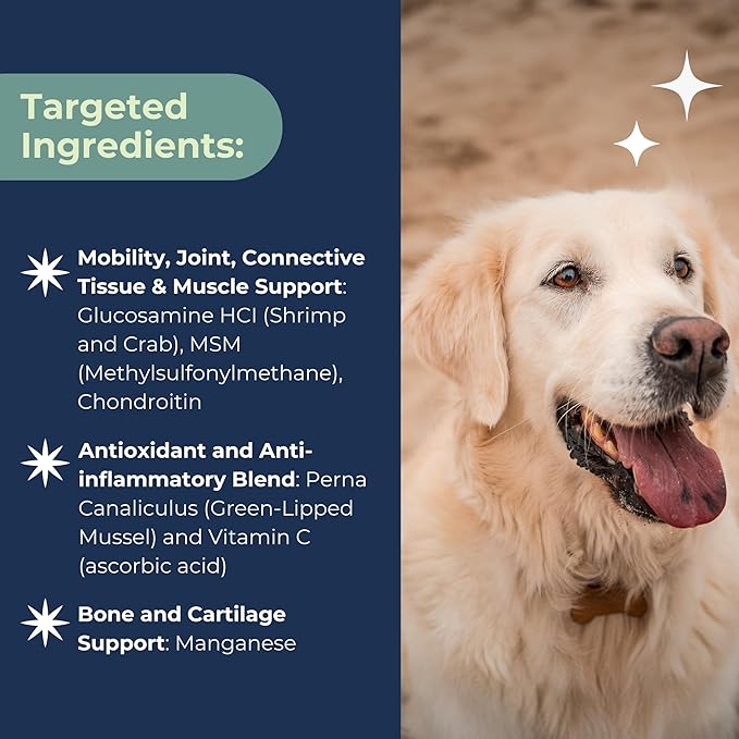 Advanced Hip & Joint Supplements for Dogs, USA Made with Glucosamine & Green Lipped Muscle for Mobility Health, 60ct Dogletics