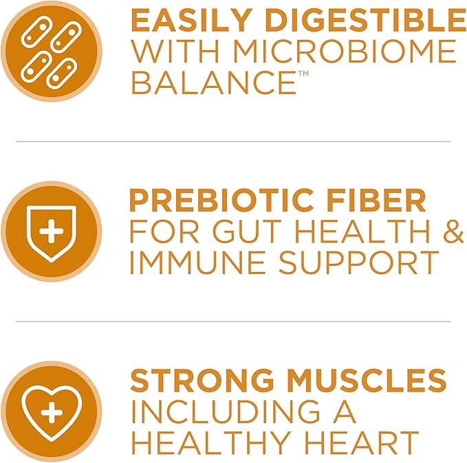 Purina ONE Chicken and Rice Formula Dry Dog Food - 8 lb. Bag - PAWPICO