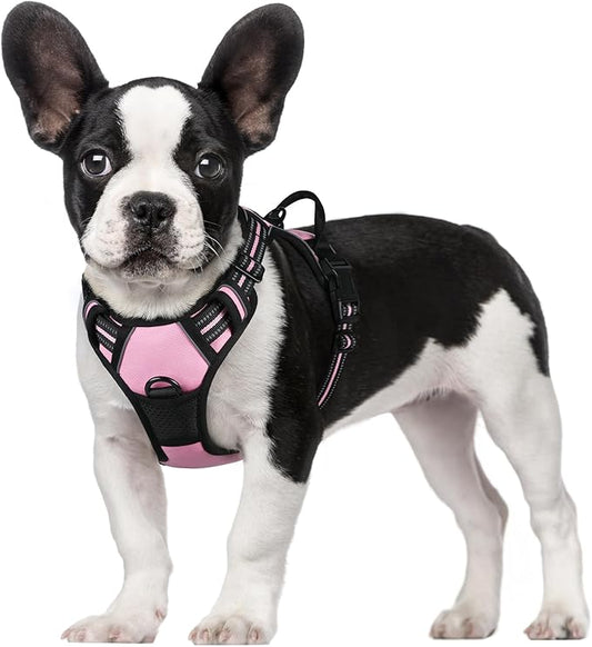 rabbitgoo Dog Harness, No-Pull Pet Harness with 2 Leash Clips, Adjustable Soft Padded Dog Vest, Reflective No-Choke Pet Oxford Vest with Easy Control Handle for Small Dogs, Pink, S - PAWPICO