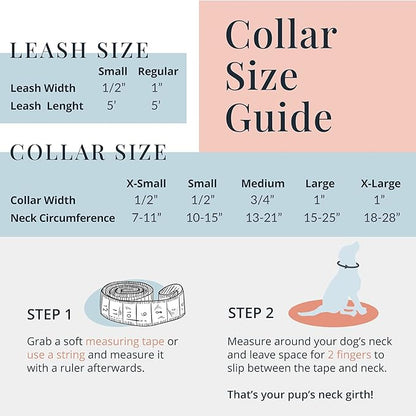 Lucky Love Dog Dog Collar, Leash Set Small, Medium, Large, Premium, Cute and Adjustable Collars for Male and Female Dogs, Winterblue Combo, Large LuckyLoveDog