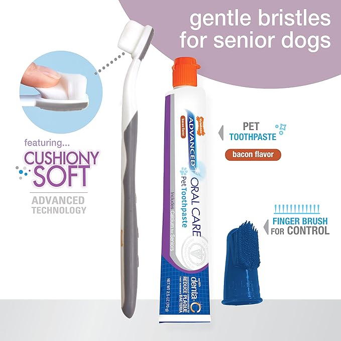 Nylabone Advanced Oral Care Senior Dog Dental Kit with Cushiony Soft-Bristle Toothbrush Senior 3 Count Nylabone