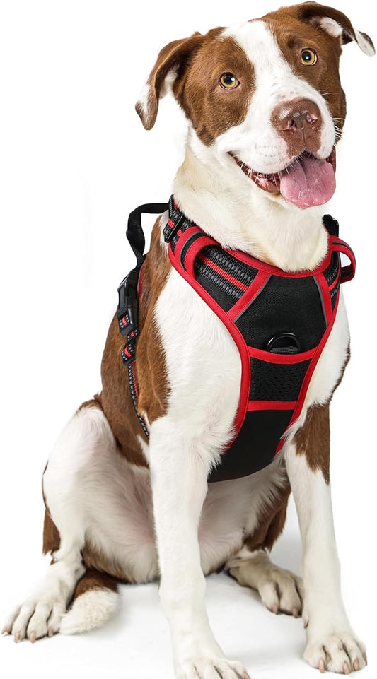 rabbitgoo Dog Harness No Pull with 2 Leash Clips, Adjustable Soft Padded, Reflective Oxford No Choke Pet Vest with Easy Control Handle for Large Dogs, Black & Red, L rabbitgoo